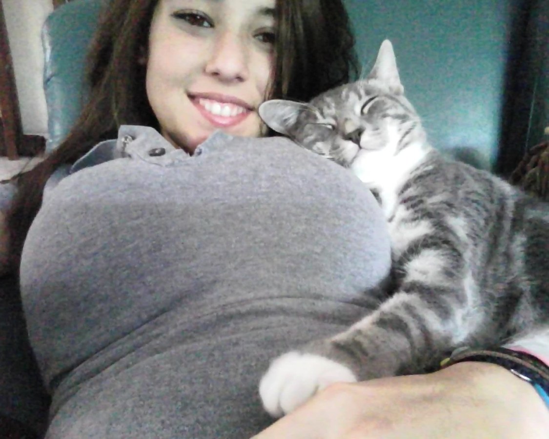 Pussy cat boob